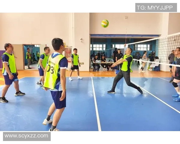 上海排球队在排球节奏排行榜中荣获第十名的佳绩引发热议