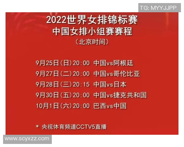 北京排球队在世界锦标赛中的耐力表现分析与启示