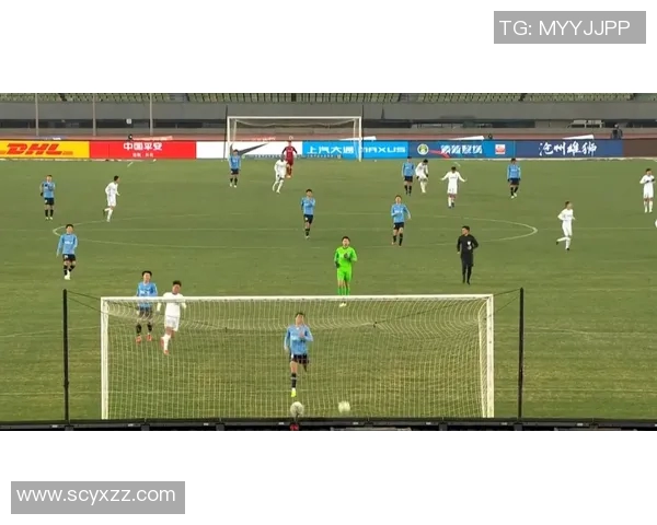 北京排球队逆袭之旅揭秘：从低谷到巅峰的奋斗与荣耀