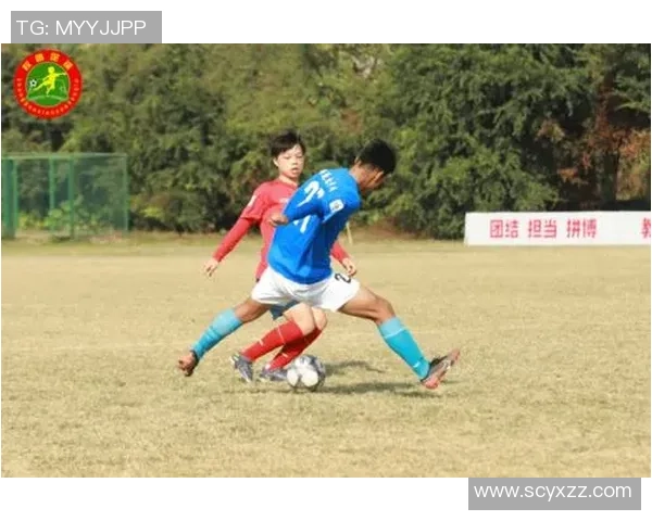 晚风轻拂梦中球场追逐足球明星的青春与热血故事