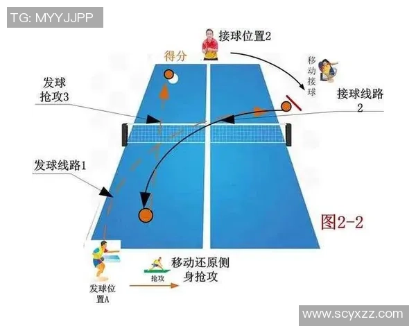 武汉乒乓球队进攻战术解析与技术特点深度剖析