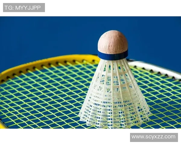 深圳羽毛球队战术解析与运营体系探讨助力羽毛球发展新思路