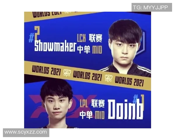 重磅专题：FPX的防反革新