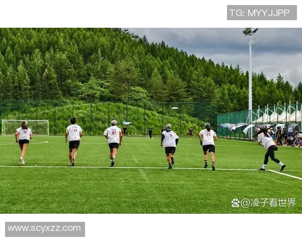 2026飞盘团队协作排行榜：北京飞盘队位居第7名