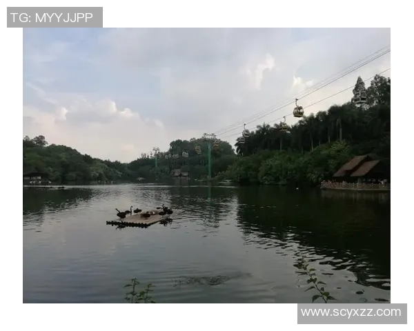 挑战赛特别报道：广州篮球队的逆袭之旅