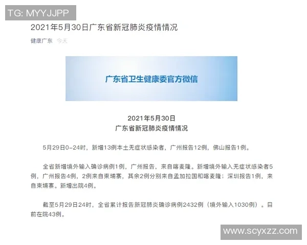 数据分析：广州攀岩队的团队协作表现