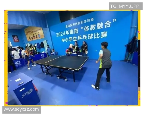 聚焦乒乓球：南京乒乓球队的团队协作话题